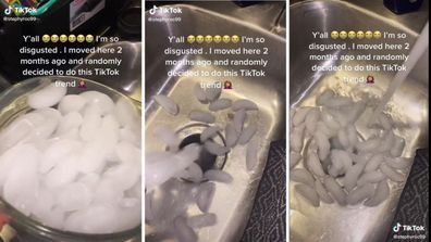 Think Twice Before Using TikTok's Shaving Cream Hack To Clean Your Sink  Drain