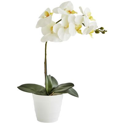 Faux orchid: $13.99