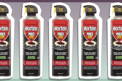 9PR: Mortein Powergard Crawling Insect Surface Spray Barrier Outdoor, 350g