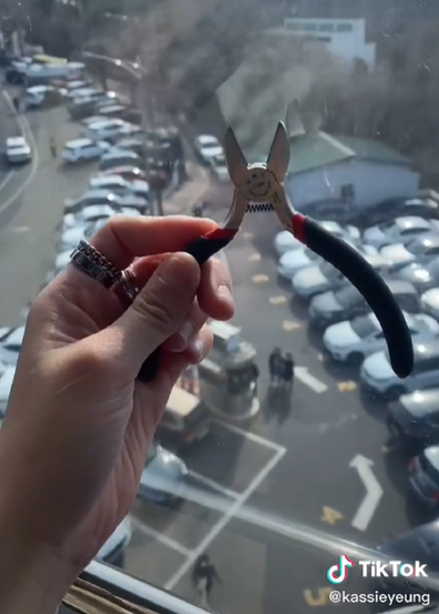 Woman travels to remove love lock from fence after relationship ends