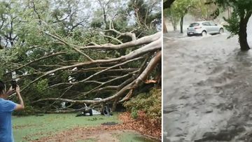 Queensland residents assess the damage after wild storms lash parts of the state.