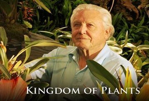 David Attenborough: Kingdom of Plants