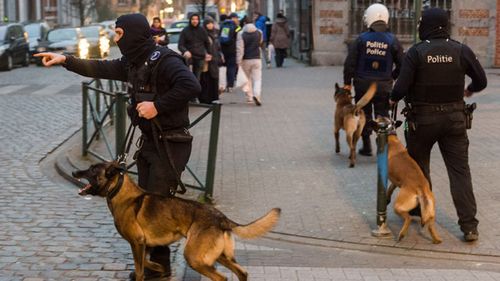 Police officers with dogs during a raid in the Molenbeek neighborhood of Brussels. (AAP)