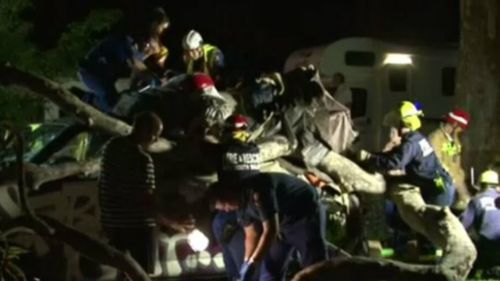 Emergency services worked for 90 minutes to free a French tourist trapped in a Sydney caravan park after a tree fell on her camper van. (9NEWS)