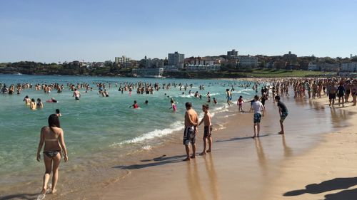 Summer weather arriving in Sydney in time for long weekend