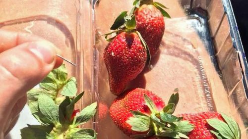 Another needle was found inside a different strawberry from the same punnet. 