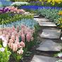 Flowers you need to plant now to have blooms by spring