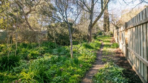 Adelaide Hills' own jungle dubbed Jumanji charms buyer 