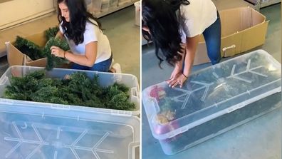 plastic christmas tree storage bin