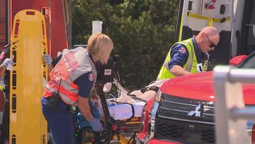 A woman has been injured after she was allegedly hit by a truck in Lilyfield, Sydney.