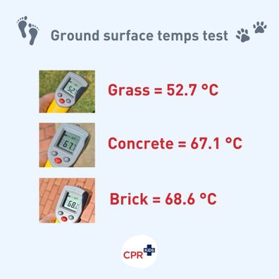 The first aid group also shared the results of a test on ground temperatures. Credit: CPR Kids.