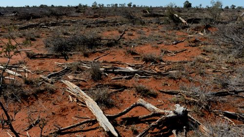 The findings come as parts of New South Wales are being gripped by a devastating drought causing heartbreak and struggle for farmers. Picture: Supplied.
