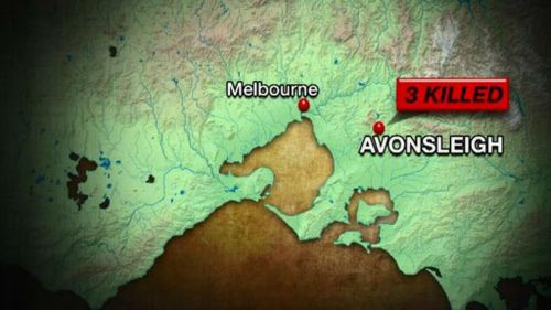 The accident happened at Avonsleigh. (9NEWS)