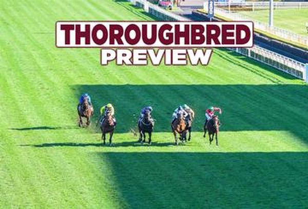 Thoroughbred Preview