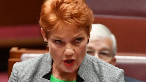Pauline Hanson: Tax cut support possible