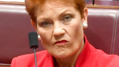 Senator Pauline Hanson has backed the move, but discussions with other Independent Senators continue.
