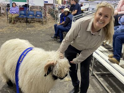valais blacknose yarra valley sheep sydney royal easter show kim and richie