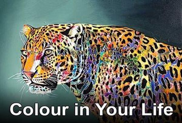 Put Some Colour in Your Life