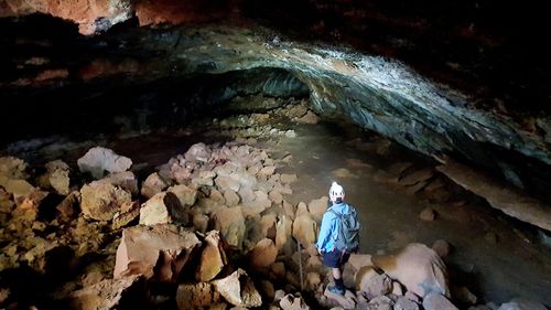 Lava caves within Queensland's Undara Volcanic National Park were a treasure trove for new insect species.  