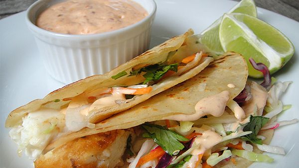 MSC-certified grilled hoki fish taco