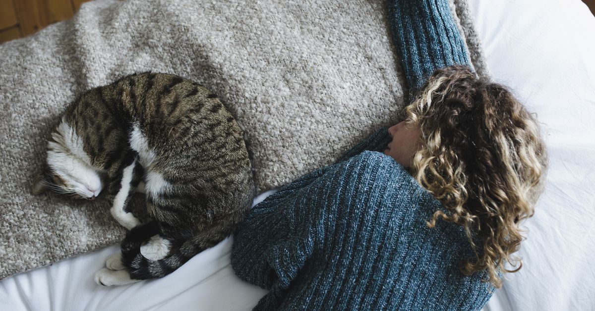 Unusual thing you have in common with your cat