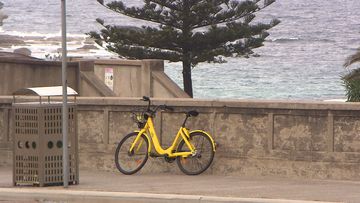 Ofo bike-sharing company is set to close in Australia within the next 60 days. Picture: 9NEWS