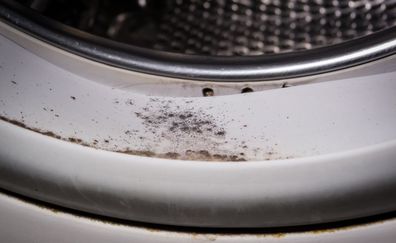 mouldy front loader washing machine seal