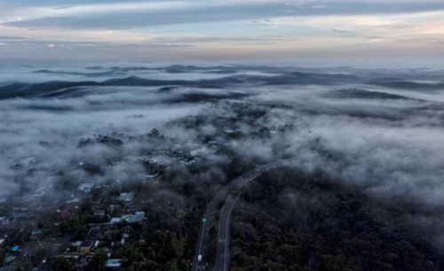 Brouillard sur les plages du nord de Sydney Photo Nick Moir 10 nov 2021