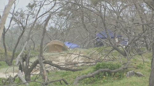 Rangers on Queensland's K'gari Fraser Island are searching for an "aggressive" dingo, that mauled a five-year-old boy yesterday.The child is in a stable condition in hospital after being bitten five times at a campsite while on holiday.