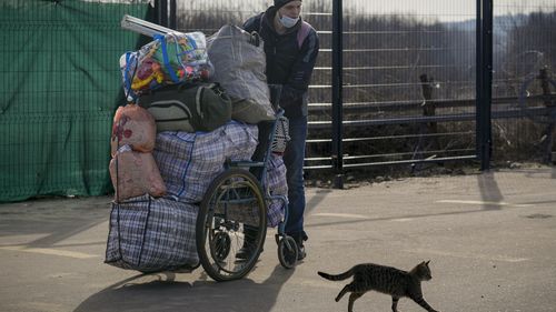 在乌克兰东部卢甘斯克地区的斯坦尼茨亚卢甘斯卡区，一只猫从一名男子面前经过，该男子在与家人越过乌克兰政府控制的亲俄分裂分子控制区之前停下来。