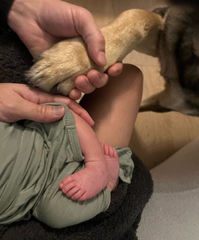 Milo Ventimiglia dan Jarah Mariano Selamat Datang Bayi Pertama