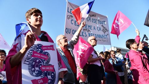 Anti-gay marriage protesters flock to streets of France