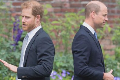 Prince Harry and Prince William.