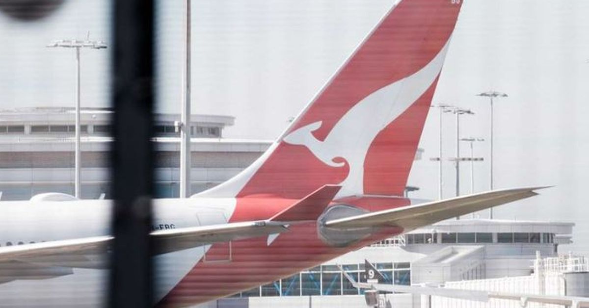 Qantas backflips on vegetarian meal options for domestic flights – 9News