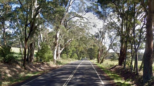 Teen critically injured after driver hits tree 'avoiding wombat'