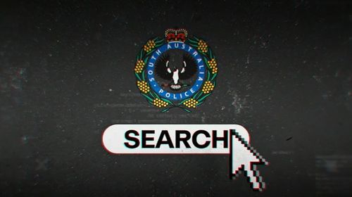 Registro pubblico SA degli autori di reati sessuali su minori