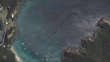 Satellite image of 'sea troll' haunting New Zealand bay debunked by science