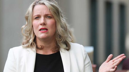 Home Affairs Minister Clare O'Neil has described the previous government's actions as 'shameful'.