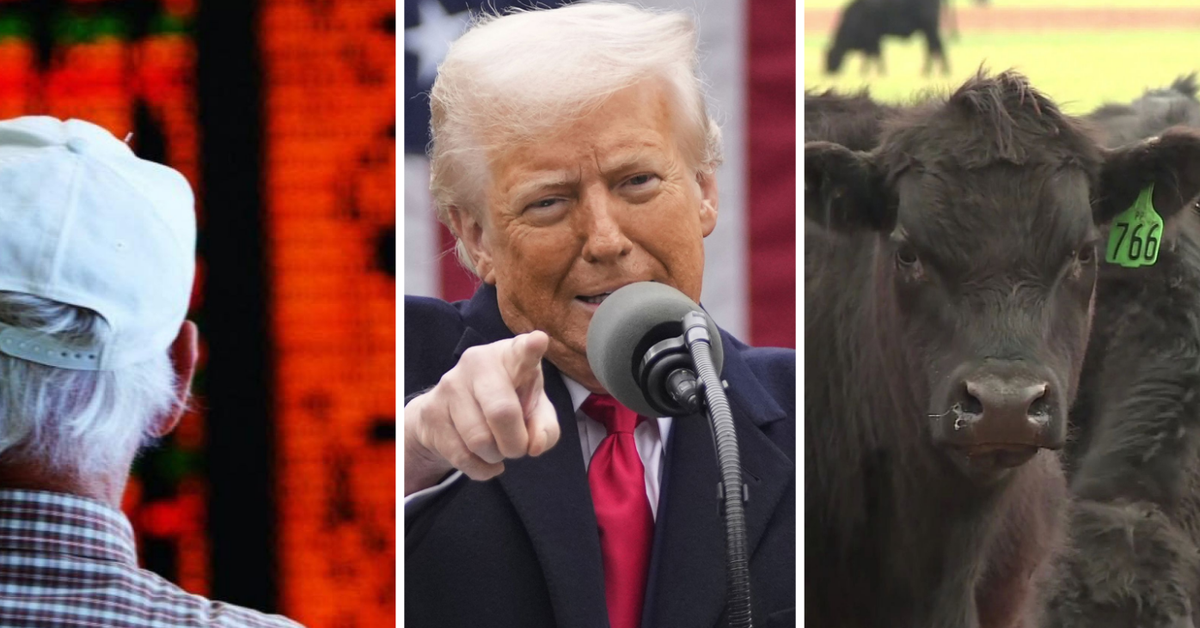 Australien ist von Trumps neuen Zöllen betroffen. Welche Auswirkungen ...