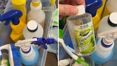 Professional cleaner reveals the products and tools she's got in her cleaning kit