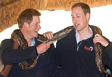 When did Harry and William establish the Royal Foundation for their charity work?