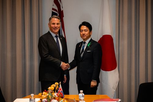 Shinjiro Koizumi, Richard Marles