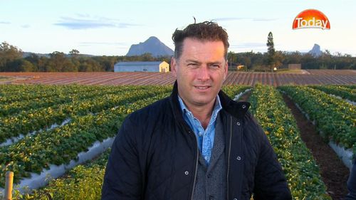 Today Show's Karl Stefanovic visited a family strawberry farm in Wamuran this morning. 
