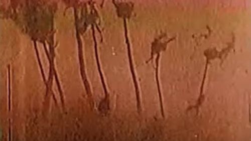 Row of palm trees incinerated by 15,000 kiloton Castle Bravo test. (YouTube).