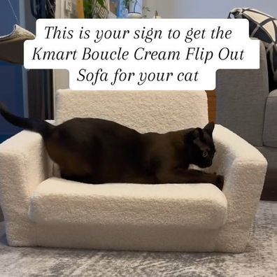 TikTok video of cat using Kmart sofa as a chair