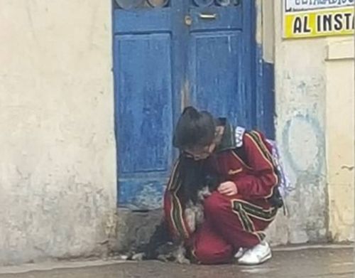 Schoolgirl praised after heart-warming photos emerge of her sheltering stray dog from the rain