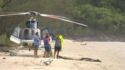 Helicopter found, pilot still missing in waters off far North Queensland