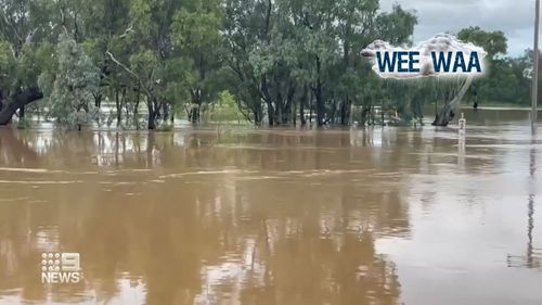 A major flood warning has been issued for Kingdon Ponds in Scone with the local council advising that the river has broken its banks.