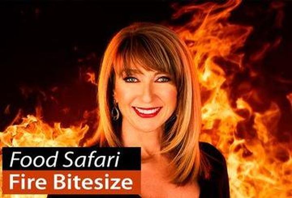 Food Safari Fire Bitesize