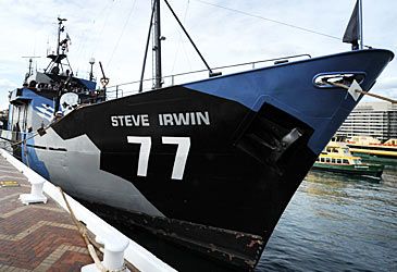 The Steve Irwin is the flagship of which organisation?